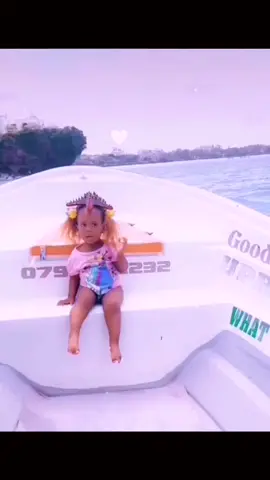 #ocean #oceananimals #oceanlife #starfish #viral #trending #fyp #babygir 
