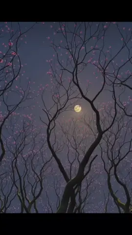 #musica #sertanejo #pravoce #fyp #fy #letras #foryoupage #fporyoupage #lendasemisterios #fredegustavo #mariacecilaerodolfo 