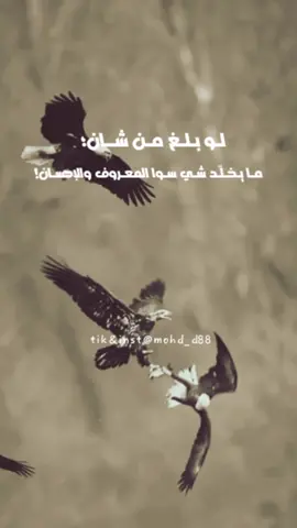 #هكذا_الانسان_يحسب_الدنيا_وهي_ادنى_من_الحسبان #ابوبكر_سالم_بلفقيه #لو_بلغ_من_شان #مقتبس #vir #mohd_d88 @mr-mo5🎼 
