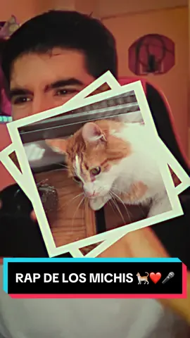 RAP DE LOS MICHIS 🐈🔥🎤❤️ - disponible en todas las tiendas digitales #comedia #humor #viral #fyp 