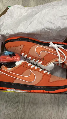 Nike SB Dunk Low Concepts Orange Lobster  #nikesbdunklobster #lobsterdunks #trinidad #trini_tiktoks #trinidadandtobago #trinitiktok #foryourpage 