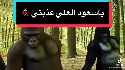 #اكسبلورexplore #الشعب_الصيني_ماله_حل😂😂 #fyp #fypシ #ياسعود_العلي_عذبني_ملهوف_الحشا 