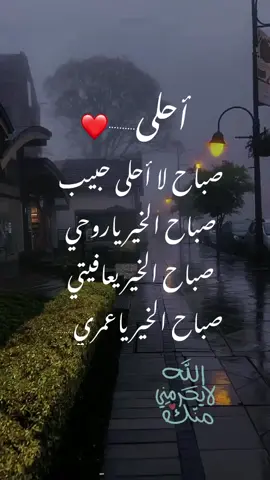 صباح الخير حبيبي 🫶#منشنووو #للحب❤ #منشن #تصاميمي_حب #اقتباسات_عشق #foryoupage #viralvideo #fyp #viralvideo #fypシ #الاردن_سوريا_السعودية_عمان_العراق #العشق_الحقيقي #الحب_الحقيقي #♥️♥️♥️♥️♥️♥️♥️♥️ 