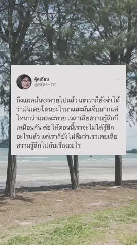 #แผลในใจ #ยิ่งลืมยิ่งจํา 🥀