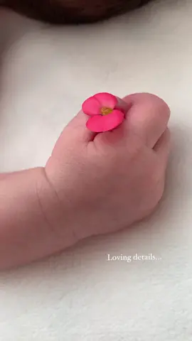 My beautiful flower🤍 #newborn #newbornbaby #newbornbabies #newbornphotography #newborndetails #babydetails #details #detailsineverwanttoforget #reciennacido #detallesreciennacido #maternidad #momhood #mom #babygirl #bebes #MomsofTikTok #momylove #fyp #parati #videosdebebes #babyvideos #viral #reelsinstagram 