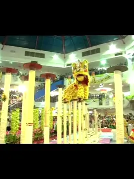 🇲🇾 马来西亚 柔佛 昔加末五祖武术醒狮 回顾 TB 狮说当年
 世界狮王 东海狮💛 #马来西亚 #malaysia #malaysiatiktok #liondance #mualan #tariansinga #barongsai #醒獅 #醒狮 #舞狮 #舞狮生活 #舞狮表演 #舞狮运动 #liondancer #liondanceperformance #liondancecompetition #liondancelife #liondancetiktok #liondancer #liondancing  #舞狮比赛 #高桩 #高桩舞狮 #世界狮王争霸赛 #世界狮王 #liondancechampionship  #高桩舞狮表演 #高桩狮王争霸赛 #高桩舞狮🦁 #五祖 #昔加末五祖武术协会醒狮团 #东海狮 