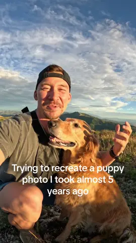 I think we still got pretty close 🥰 #dog #goldenretriever 