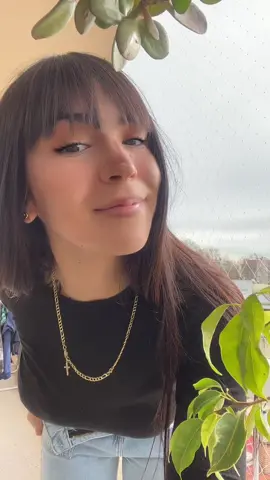 Les gusta la vista ? 