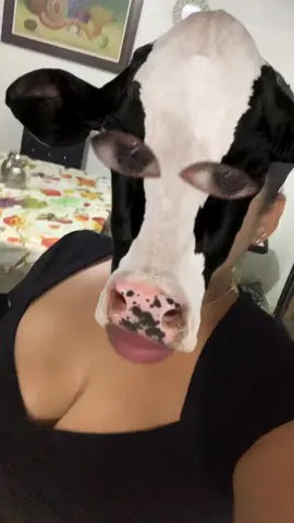 Le dio un ataque de risa🤣🤣 #fypシ #humor #sister 