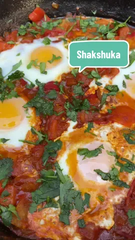 My garden fresh spicy tomato and pepper shakshuka 😍 MY FAV thing to do with summer tomatoes and peppers!  Recipe: 6 medium tomatoes, roughly chopped 4 medium sweet peppers, roughly chopped 2 small chiles, minced (optional- i used serranos because i like it spicy!)  1 medium onion, diced 3-4 garlic cloves, minced  1 tbsp tomato paste (optional) 2 tbsp harissa  1/2 tsp ground paprika 1/4 tsp ground cumin 1/4 tsp ground turmeric  1/4 tsp salt  1/4 tsp black pepper  1 cup water or broth  Cilantro or parsley to garnish  Sautee onion and chili until translucent. Add garlic and sautee for 1-2 more mins. Add tomato paste and harissa. Then add tomatoes, peppers, water and spice blend. Bring to a simmer and Cook down on med-low until little liquid is left- about 20- 30 mins. Make wells, and add eggs. Cut heat to low, cover, and remove from heat when egg whites are set and eggs are cooked to desired consistency (i like mine runny). Top with cilantro and serve with pita or crusty bread! #gardentok #gardentotable #shakshuka #gardenfresh #gardenfood #growyourownfood #growfood #farmtotable 