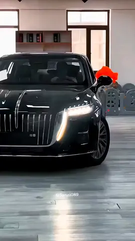 China Automobile Hongqi H5 #chinacar #chinaauto #chinesecar #틱톡자동차 #중국자동차 #자동차 #외제차 #car #