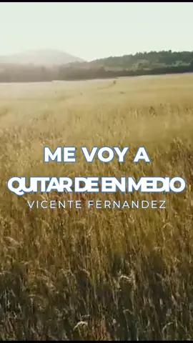 #tiktok #parati #peru #latam #VicenteFernandez #mevoyaquitardeenmedio #mexico #amor #ranchera #fyp 