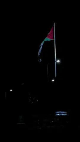 Normal night in amman 📍 #jordan #amman #airport #عمان #الاردن 