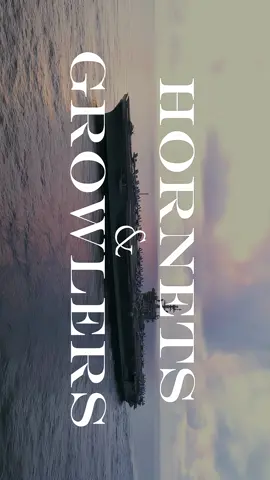 F-18 Hornet and EA-18G Growler edit #f18 #f18hornet #usnavy #usairforce #fighterjet #jet #plane #military