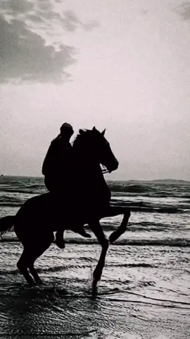 الخيل والبيداء تعرفني🐎#trendingvideo #v #tiktok #خليل_البلوشي #الخيل_العربي_الاصيل #الخيل_والبيداء_تعرفني 🐎🍂🍃🌴🌳🍁#الشعب_الصيني_ماله_حل😂😂 #وين_جماعتي_الكفو👈 #😂😂😂 #😀😀😀 #😎😎😎😎 #🍁🍁🍁🍁kashmir🍁🍁🍁 #🐎🐎🐎 #💪 #❤️❤️❤️ #💤lâm💤 #omar 