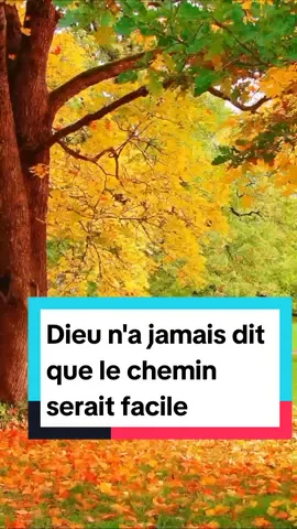 Dieu n'a jamais dit que le chemin serait facile #motivationbible #bible #enseignement #citationtiktok #motivation #inspiration #inspirationtiktok #inspirationdivine #conseil #console #Dieu #visibilitétiktok #visionmedias #vie #fyp @#foryou 