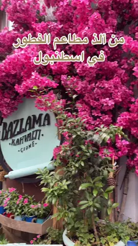 صباحات اسطنبول🇹🇷 من ألذ مطاعم الفطور بازلاما هالفرع في ششلي ونفس المنطقه فيه فرعين جنب بعض✨ . #fyp #اكسبلور #تركيا #turkey🇹🇷 #istanbul #اسطنبول #مطاعم_تركيا #travel #سفر #explore #الشعب_الصيني_ماله_حل😂😂 #fypシ 