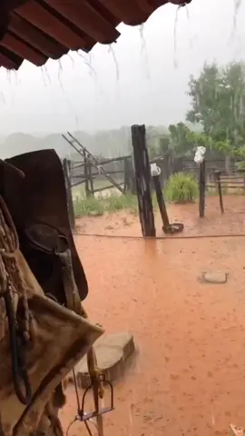 Tem coisa melhor que a chuva no sertão? #chuvanosertao #pecuariabrasil🇧🇷🐂🐂🐂🐂 #pecuarista #pecuariabr #viraltiktok #viralvideo #agronomia #agroroutine_oficial #agricultor #agricultor #agricultura #agronomia #viralizarvideo #viralizarnotiktok #agronomia #agronegocio #sertaodonordeste 