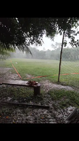 Música y lluvia en la selva #juanluisguerra  #romeosantos 