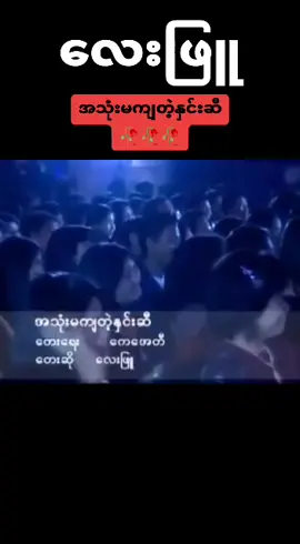 #ရောက်ချင်တဲ့နေရာရောက်👌 #လေးဖြူ #အသုံးမကျတဲ့နှင်းဆီ 