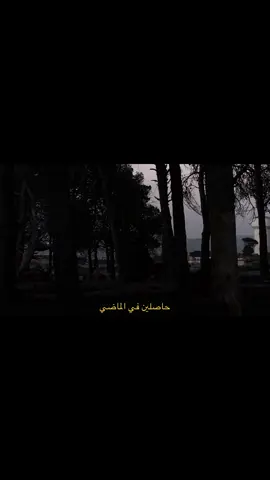 حاصلين في الماضي ...