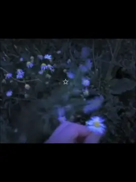 (cuenta psra dedicar) - HOLAA TENGO SUEÑO😜 #fypシ #parati #xyzbca #noche #paisaje #texto #identificarse #aesthetic #dedicar #triste #lentejas #foryoupage @TikTok 