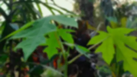orang pinggiran🍃#sinematic #aesthetic #hd #fyp 