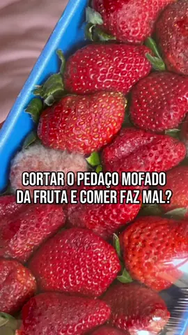 Nada mais frustrante que ir de encontro a sua frutinha preferida e se deparar com essa espécie de “pelúcia” presente nela.  Você costuma cortar o pedaço mofado e consumir? Ou descarta a fruta/bandeja inteira?  Se consome, cuidado ⚠️ ! Mesmo as partes aparentemente saudáveis da fruta podem estar contaminadas, pois os fungos produzem substâncias invisíveis e muito nocivas à saúde. #TikTokNotícias 