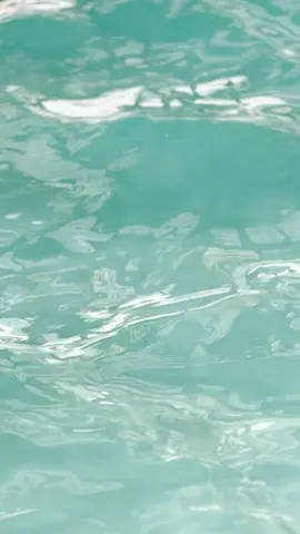 Just a mix of a magical ✨ moment with @iamkassianbriana in the Bora Bora 2 piece bikini. #borabora #bikinis #swimsuits