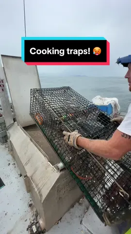 Replying to @igobyyas Cooking traps! #interesting #maine #lobster #lobsterfishing #lobstertok #fishing #ocean #seafood #DidYouKnow #fy #fyp #mainelobster #commercialfishing #educate 