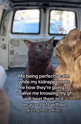 #girlfriend #blackcat #meme #blackcatzoningout #datingadvice #gfriend #bf #Relationship #darkhumor #3amthoughts #vibes #relatable #blackcatsoftiktok #funnyvideos #imdeadasf😂😂 #real #facts #couplegoals #fortheboys #fortheladies #usa_tiktok #wow #😂😂😂 