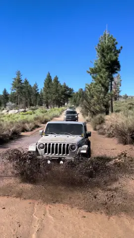 No se raja la cortita🫡 #fyp*> #foryou #fy #jeeplife #jeepwrangler #jeepeta #jeep #jeepsoftiktok #jeep4×4 #jeeplover #jeeps #offroad #rutas4×4 #ruta #rutas_michoacan #trail #dirt #offroading #offroadlife #foryourpage #viral #viralvideo #viraltiktok #viral_video #viralvideos #parati #paratii #paravoce #foryoupage #mexico🇲🇽 #rutasmexico 