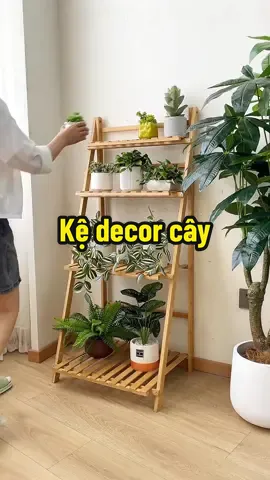 Kệ decor cây cảnh | Giúp gia chủ thu hút tài lộc, sinh khí, giàu Oxi về đêm với: trầu bà xanh, cỏ lan chi,... #roomdecor #xuhuong #minhthichdecor #RoomTour #kedecor #caycanh #phongngudep #Master2023byTikTok #songxanh 