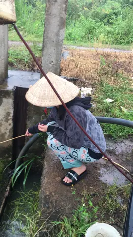 Dằm mưa đi câu cá mà sao con cá nó lạ lắm🤣🤣#93binhphuoc #fypシ #xuhuongtiktok 