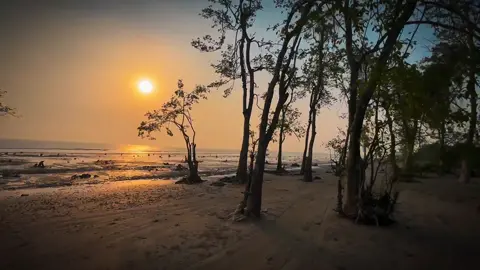 Peace of mind♥️ 📍Kuakata Sea Beach,Bangladesh  #kuakata_sea_beach #yeafiahmedasif #nature #capcuttemplate #miner #fypシ #Love #foryourpage #trending #barishal #fzsv2 