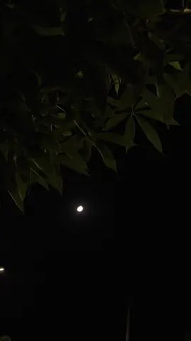 talking to the moon♥️😩 #foryou #nightmoon #viral #trendingvideo #asthetic #itx_kashifff #tiktokpakistan 