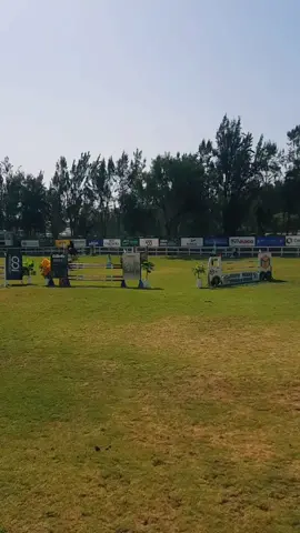 no saben cuanto amo estas competencias  #ecuestre  #arequipa #club #noenvanosenacealpiedeunvolcan  #equitacion #caballo  #hourselovers 