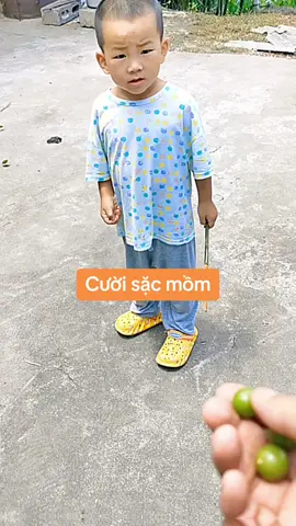 Funny #funny #funnyvideos #xuhuong #giaitri #cuoibebung #troll 