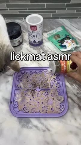 Savoring every lick 👅 #catfood #lickmat #feedmycat #catasmr #catfeeding #lickmatforcats 