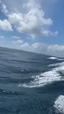 Akses menuju pulau #binongko_wakatobi ketika Musim timur #ombak #fypシ #firal #kapallaut 