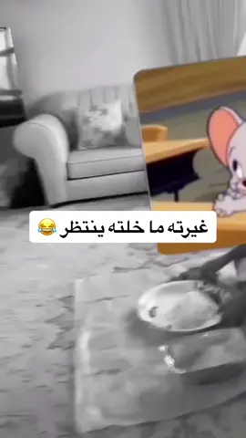 جننته #المتزوجين_هاي_الايام #الزواج_مسؤولية #تزوج #مضحك #اكسبلورررر #منشن_لصاحبك 