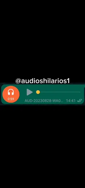 Parte 16 | #fakenews #audiosengraçados #audioswhatsapp #meme #baixaraudio #vaiprofycaramba #fypシ 