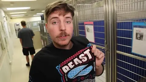 @mrbeast #MrBeast  #mrbeastchallenge  #answer  #Spotify  #sigma