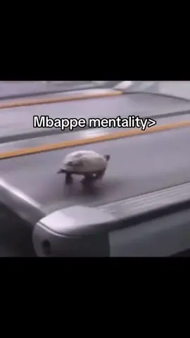 Mbappe>kimmich#mbappe#turtle#funny#fup 