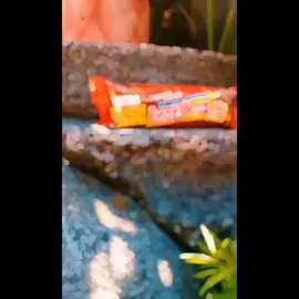 Tugas Informatika Kelas 8 E  Membuat iklan produk Beng Beng. 