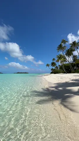 Polynésie française 🩵💙#polynesiefrancaise #frenchpolynesia #tahiti #borabora 