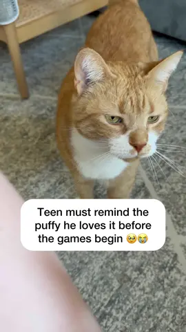teen is baby 🥲 #catmanjohn #teenthecat #orangecat #cutecat 
