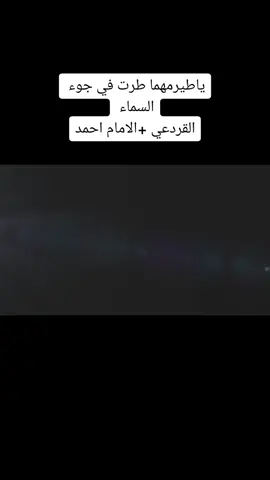 #ياطير_مهما_طرت _عود_طرب_ابداع_اصاله_فن_يمني #شبوة_ديرتي_واعشق_هواها 