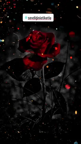 gece uyurken sabah bana nasip olmasın🥀💔😥#fvpシ💕foryou #keşfetedüş #keremcan_632 #keşfetttttttttttttttttttttttt #keşfeteyizzzzzzzzzzzzz 