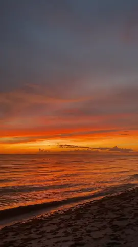 Summer days drifting away